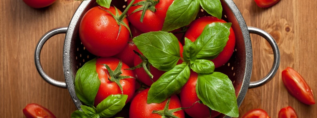 Jak sadzić pomidory? 