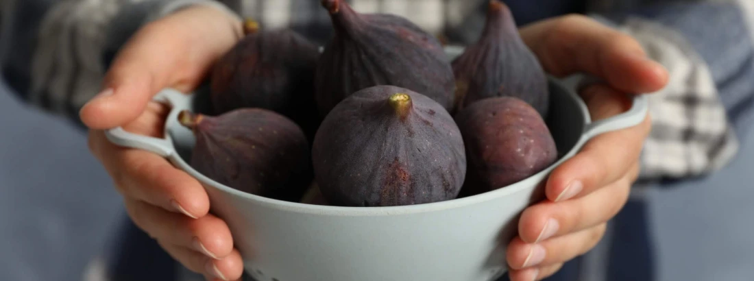 Jak jeść świeże figi, jak je obierać?