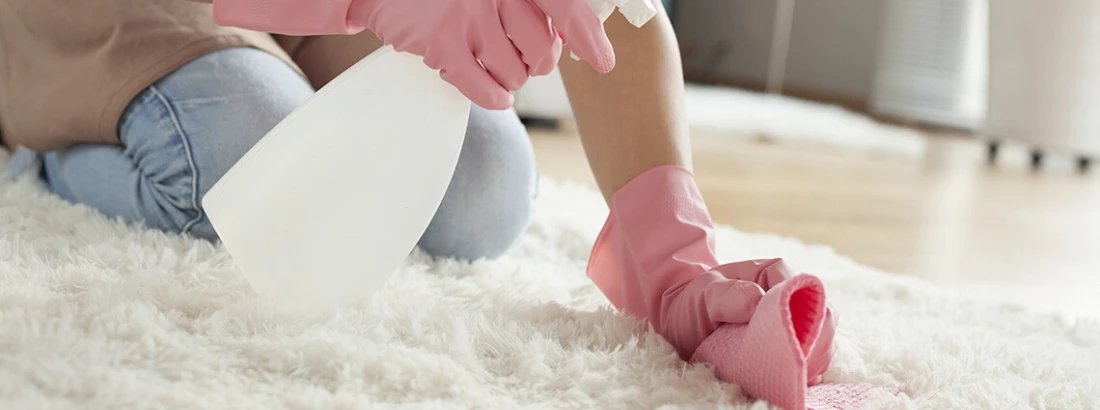 Jak czyścić i pielęgnować dywany?