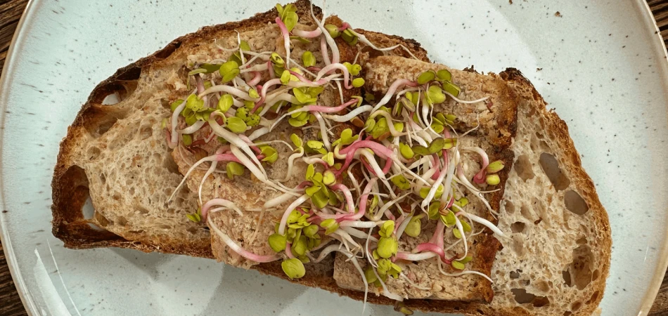 Pasztet z indyka na kromce chleba z kiełkami