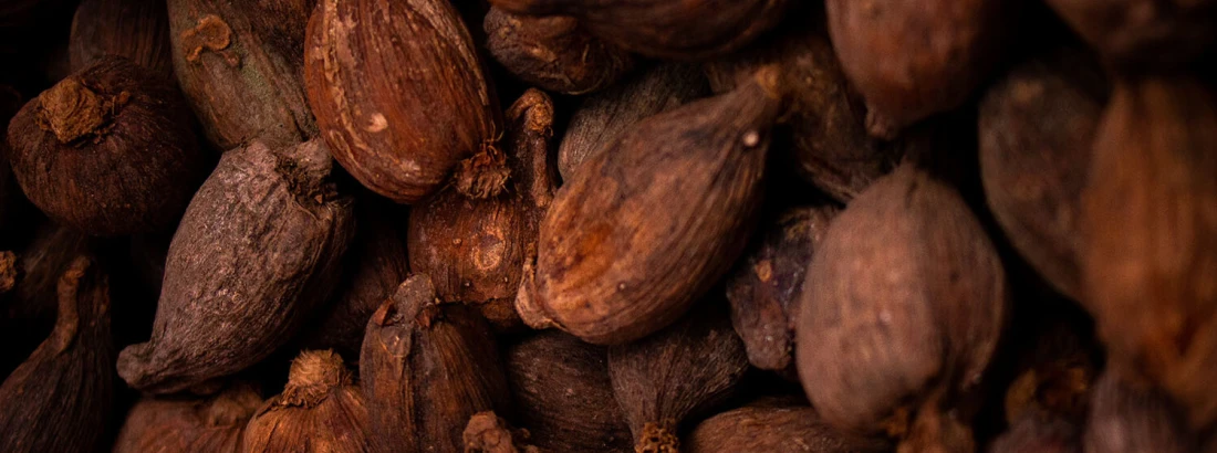 Smaczne i zdrowe kakao – właściwości odżywcze i zdrowotne