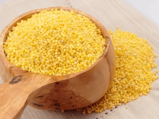 Miska wypełniona suchą kaszą jaglaną