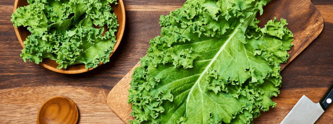 Co to jarmuż i dlaczego warto go jeść?