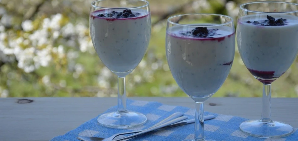 Lekki deser jogurtowy z owocami leśnymi