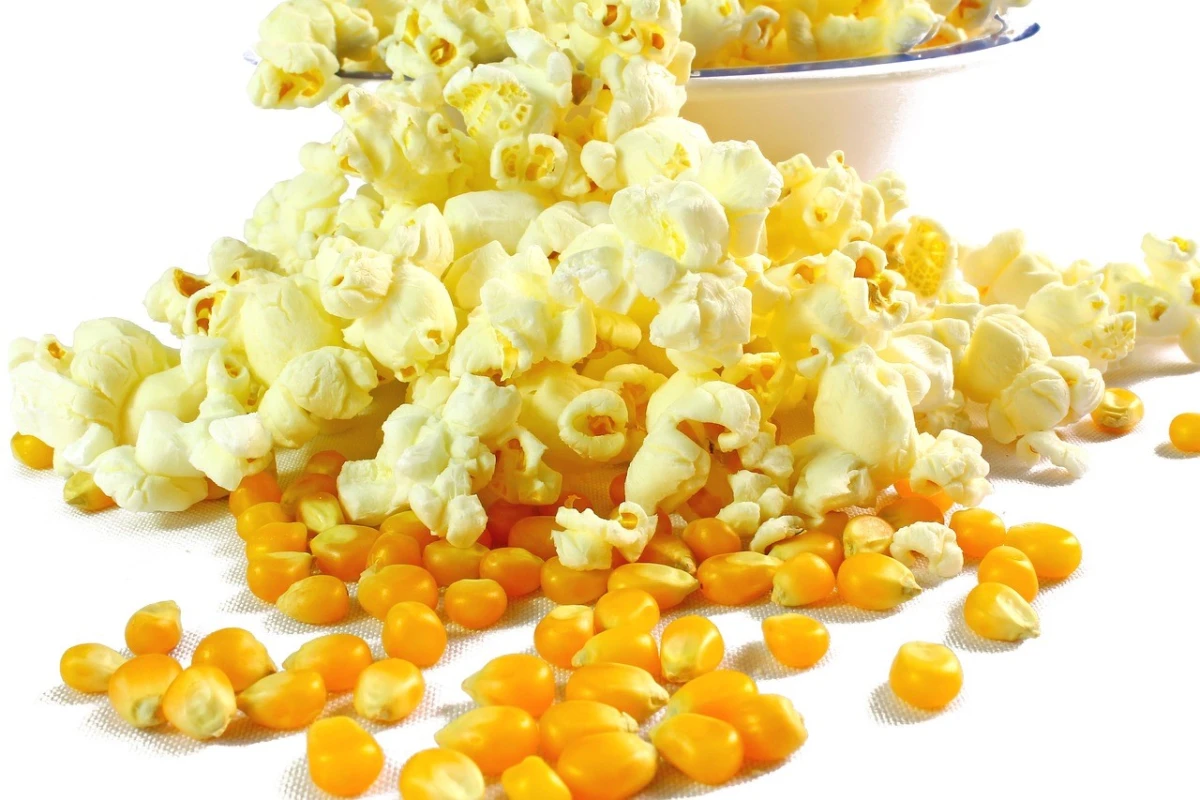 Świeżo uprażony popcorn rozsypany na białej powierzchni, wśród żółtych ziaren kukurydzy, z widoczną miską w tle