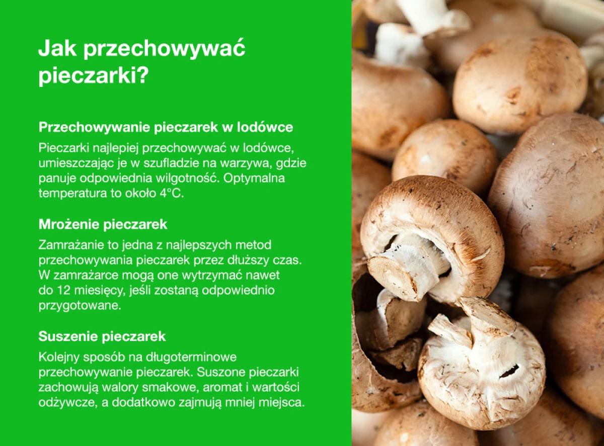 Jak przechowywać pieczarki? - infografika