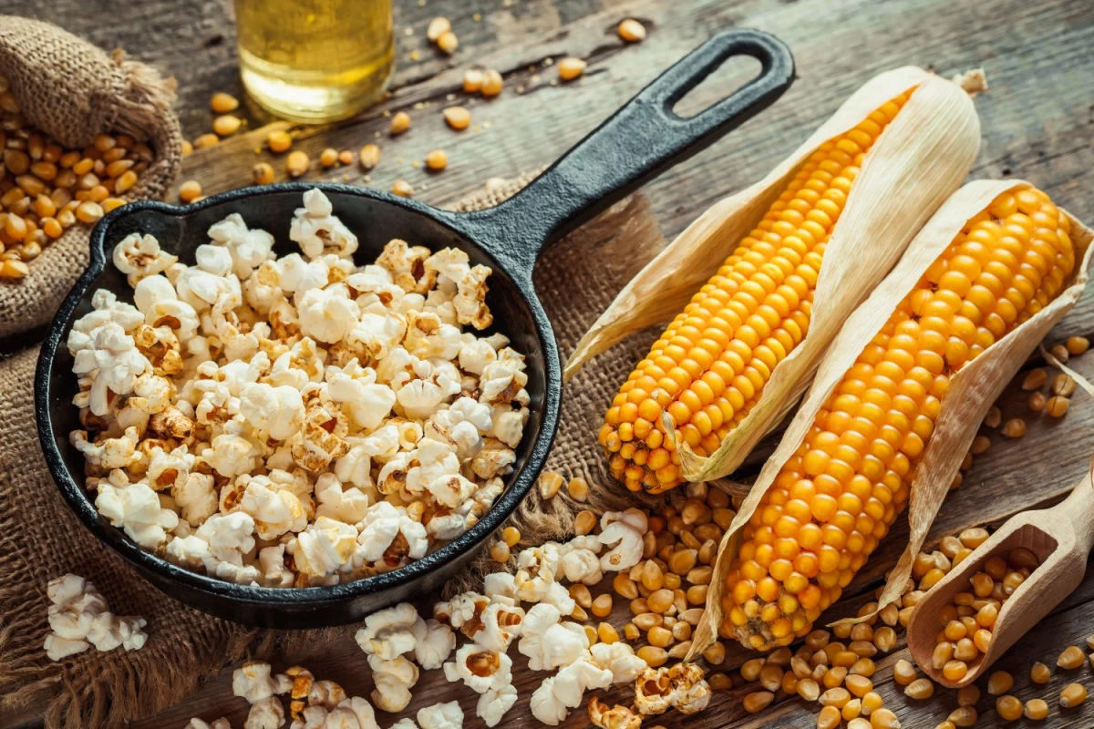 Patelnia wypełniona popcornem, obok leżą dwie kolby kukurydzy