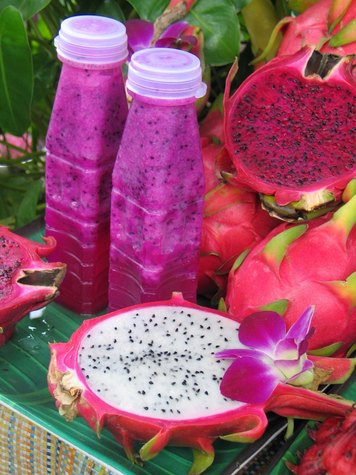 Smoothie z pitają