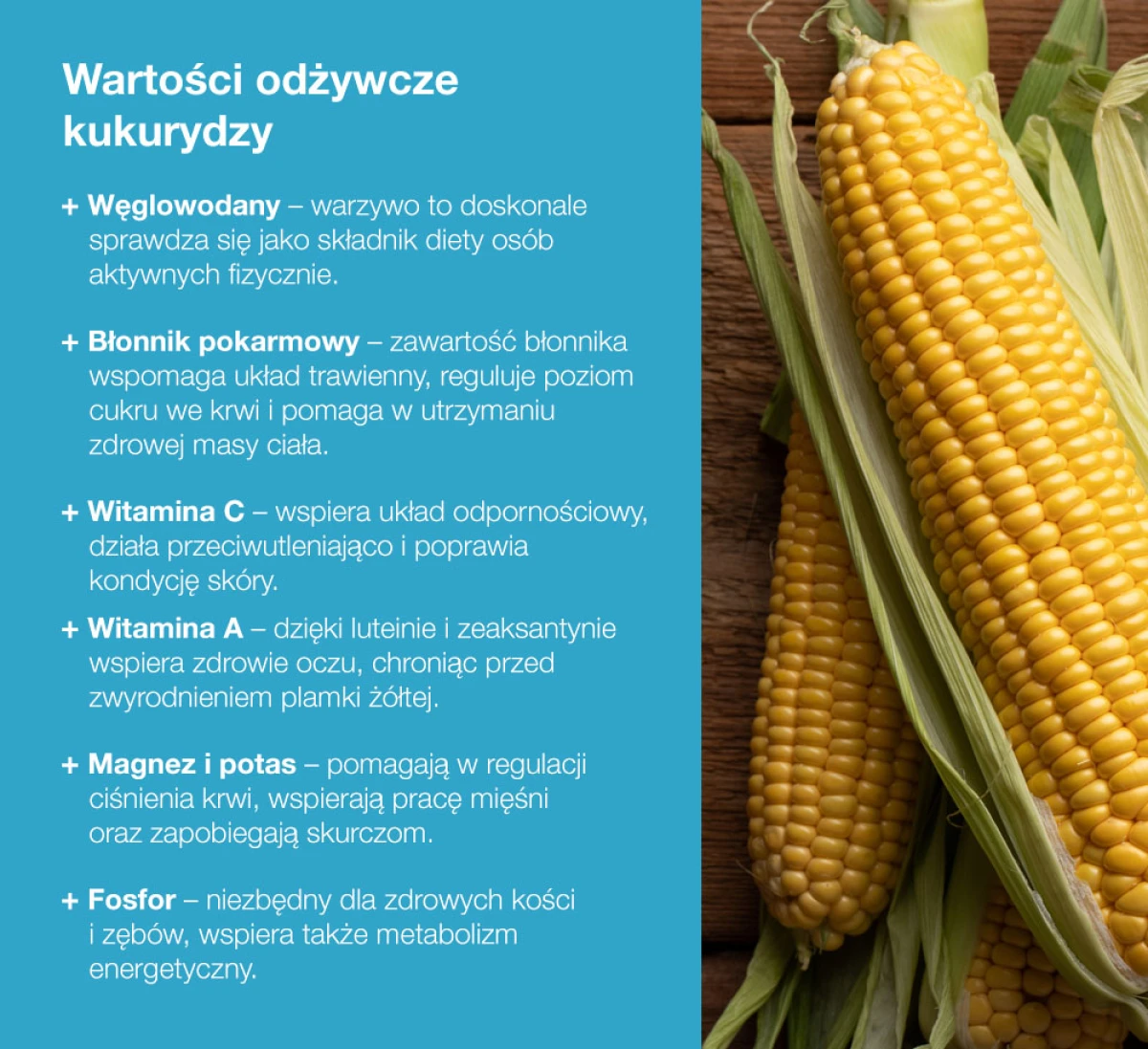 Wartości odżywcze kukurydzy – infografika