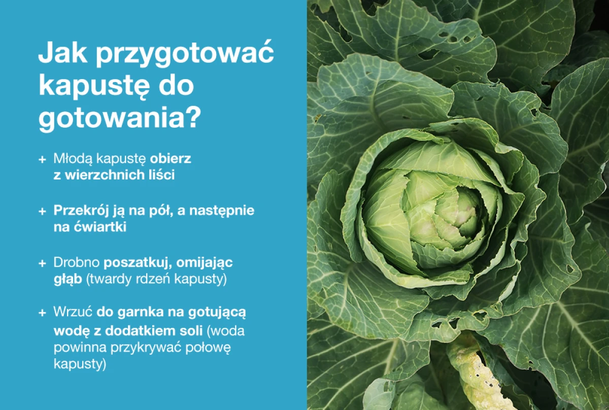 Jak przygotować kapustę do gotowania