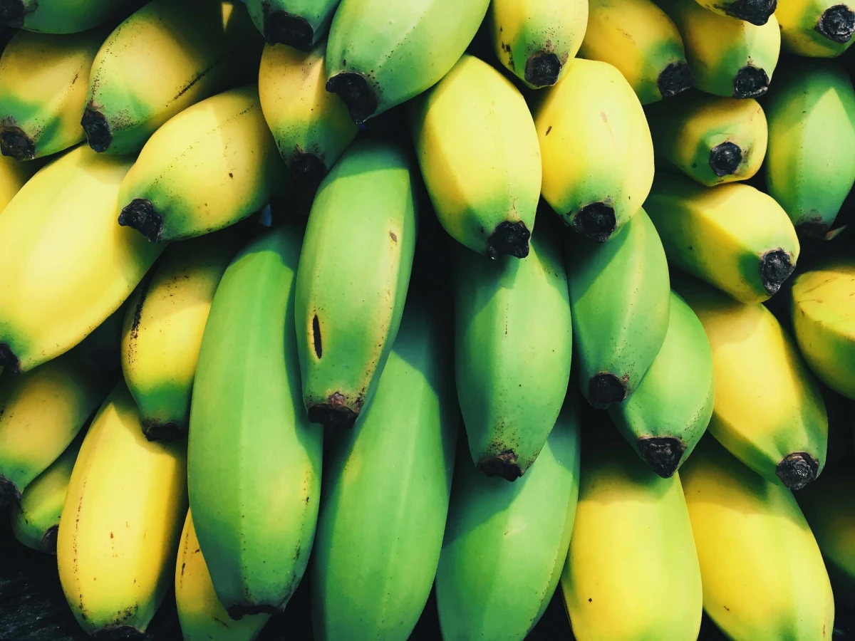 Jak przechowywać banany 3