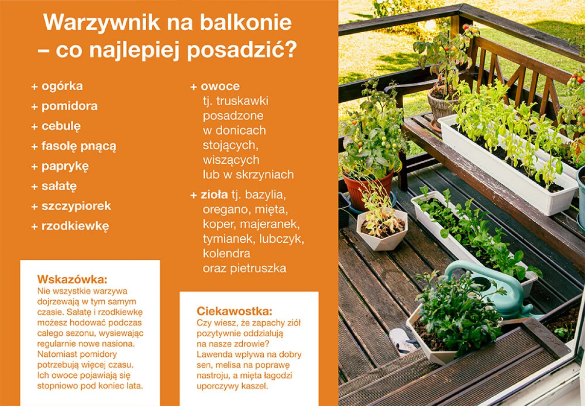 Jak urządzić warzywnik na balkonie?