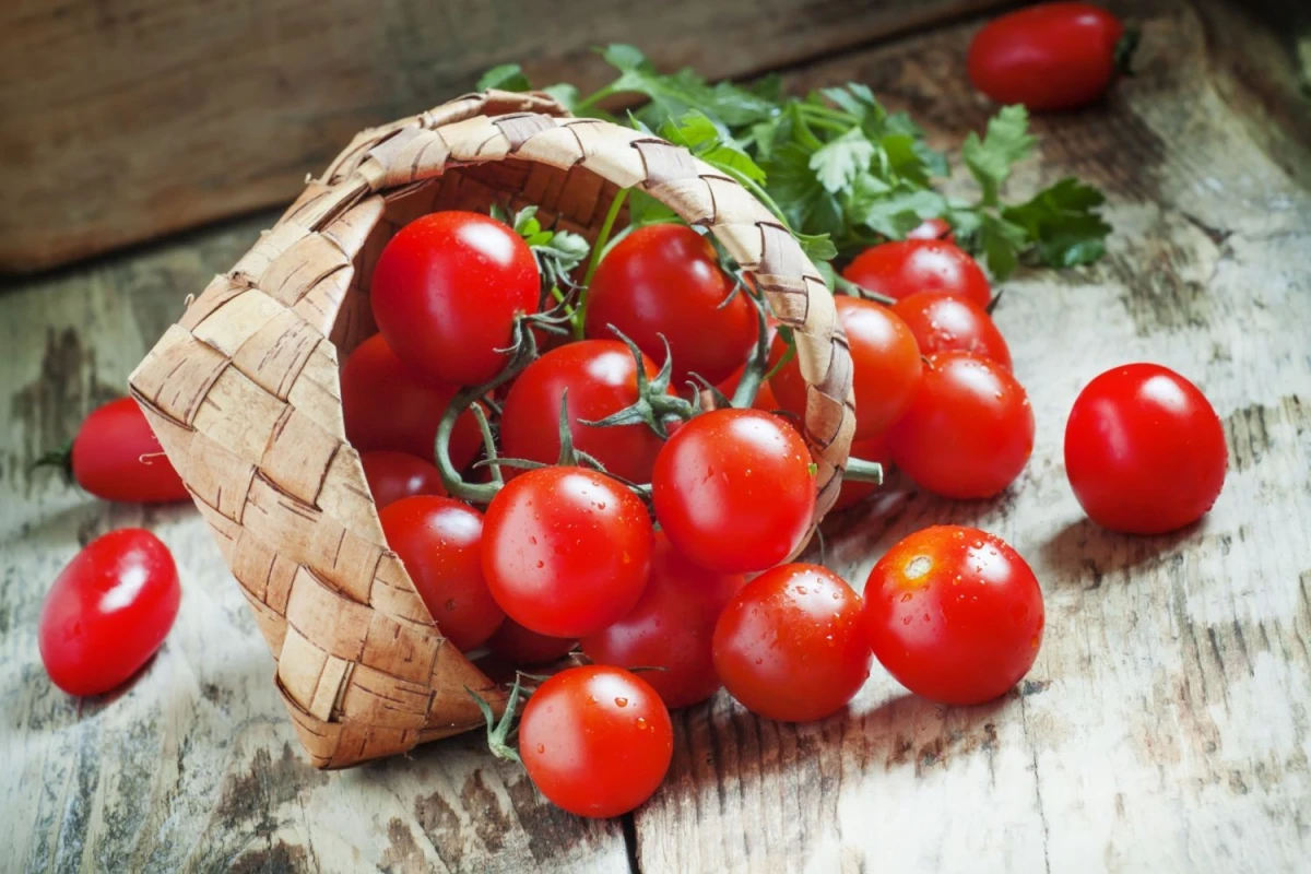 Odmiany pomidorów i ich zastosowanie - zdjęcie 1
