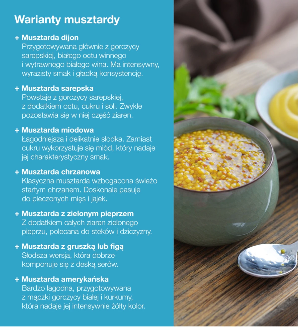 warianty musztardy infografika