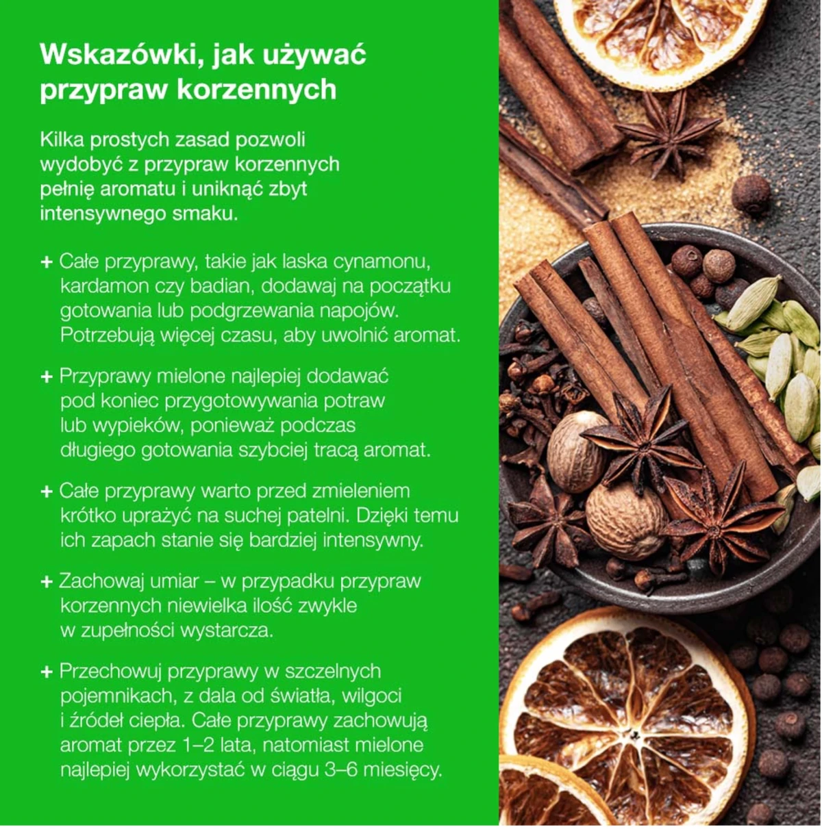 infografika